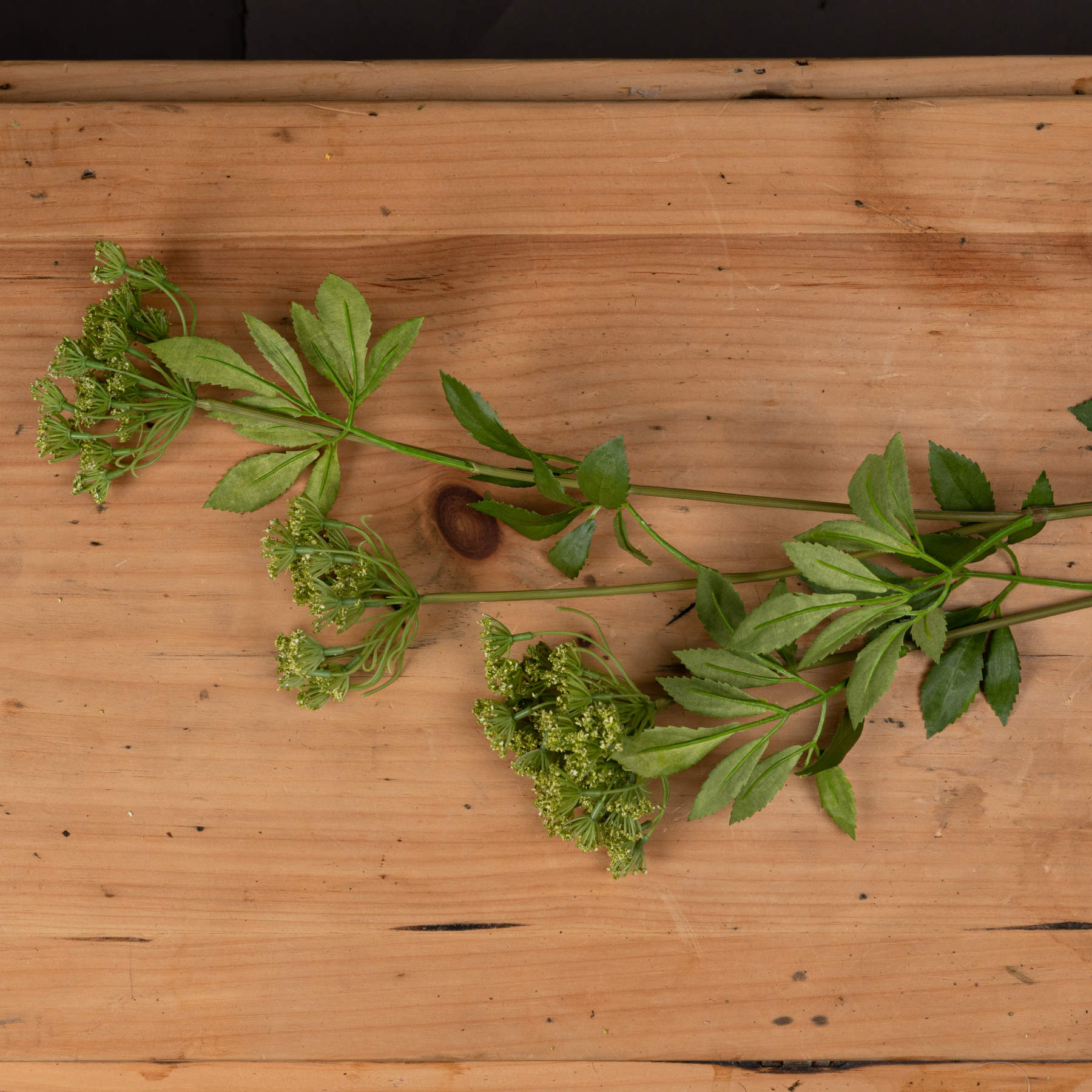 Faux cow parsley stem with delicate green umbels and feathery leaves, showcasing natural elegance on a wooden surface.