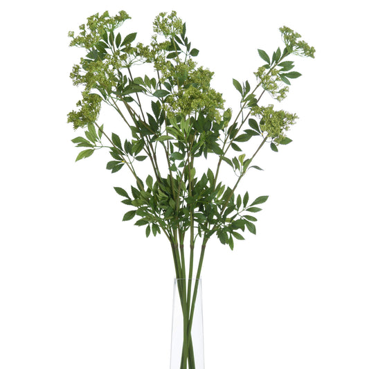 Faux cow parsley stem with green, feathery foliage and delicate umbels, arranged in a clear vase against a white background.