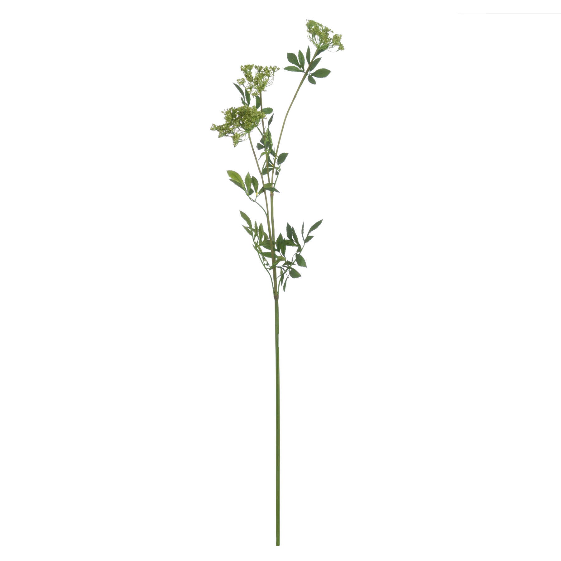 Faux cow parsley stem with delicate green umbels and feathery leaves, creating an airy spring aesthetic for decor.
