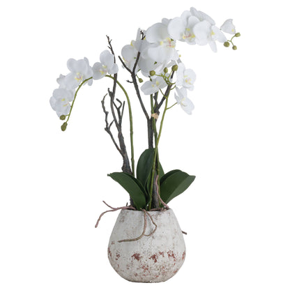White Orchid In Stone Pot - All Artificial Flowers from the Quanta Home collection.