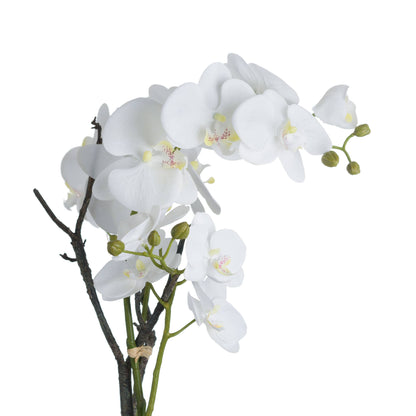 White Orchid In Stone Pot - All Artificial Flowers from the Quanta Home collection.
