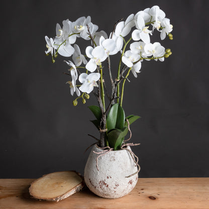 White Orchid In Stone Pot - All Artificial Flowers from the Quanta Home collection.