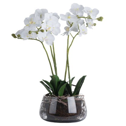 White Orchid In Glass Pot - All Artificial Flowers from the Quanta Home collection.