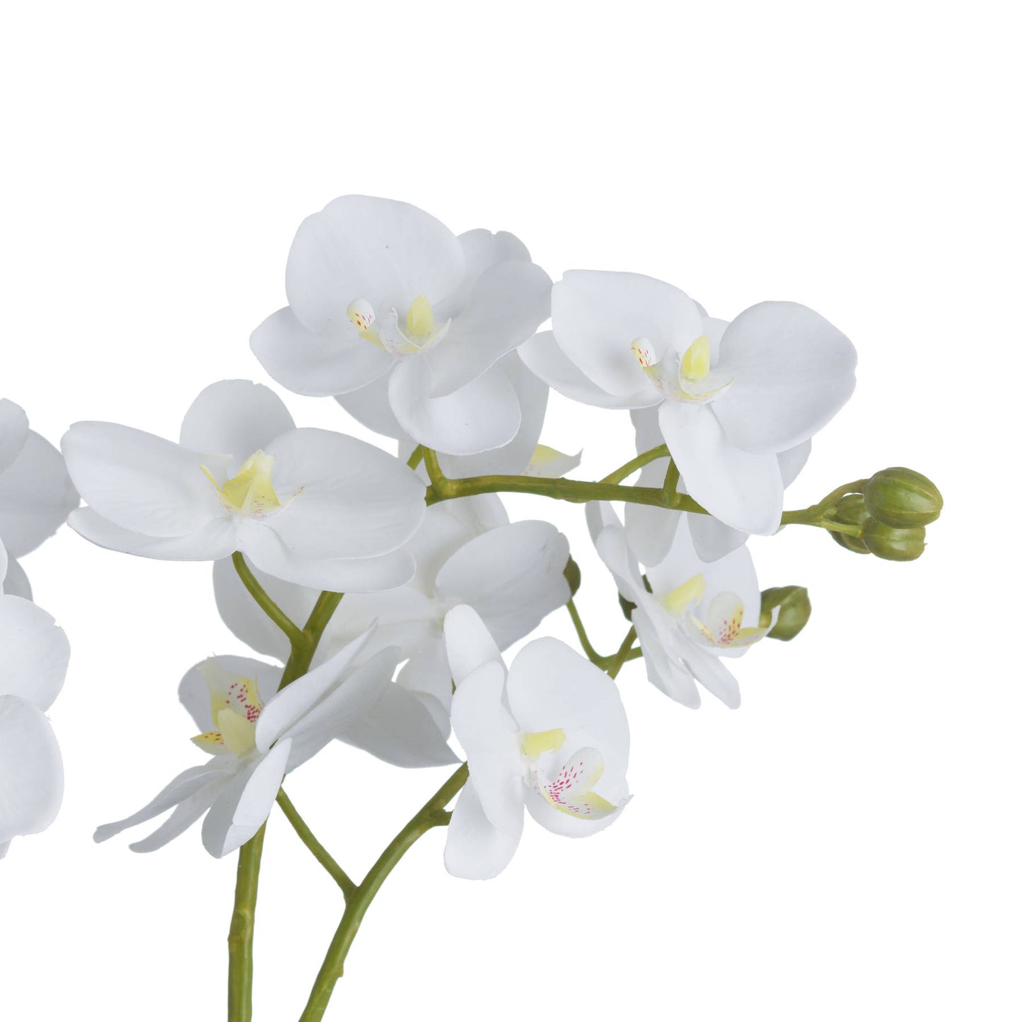 White Orchid In Glass Pot - All Artificial Flowers from the Quanta Home collection.