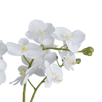 White Orchid In Glass Pot - All Artificial Flowers from the Quanta Home collection.