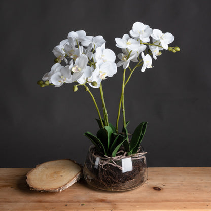 White Orchid In Glass Pot - All Artificial Flowers from the Quanta Home collection.