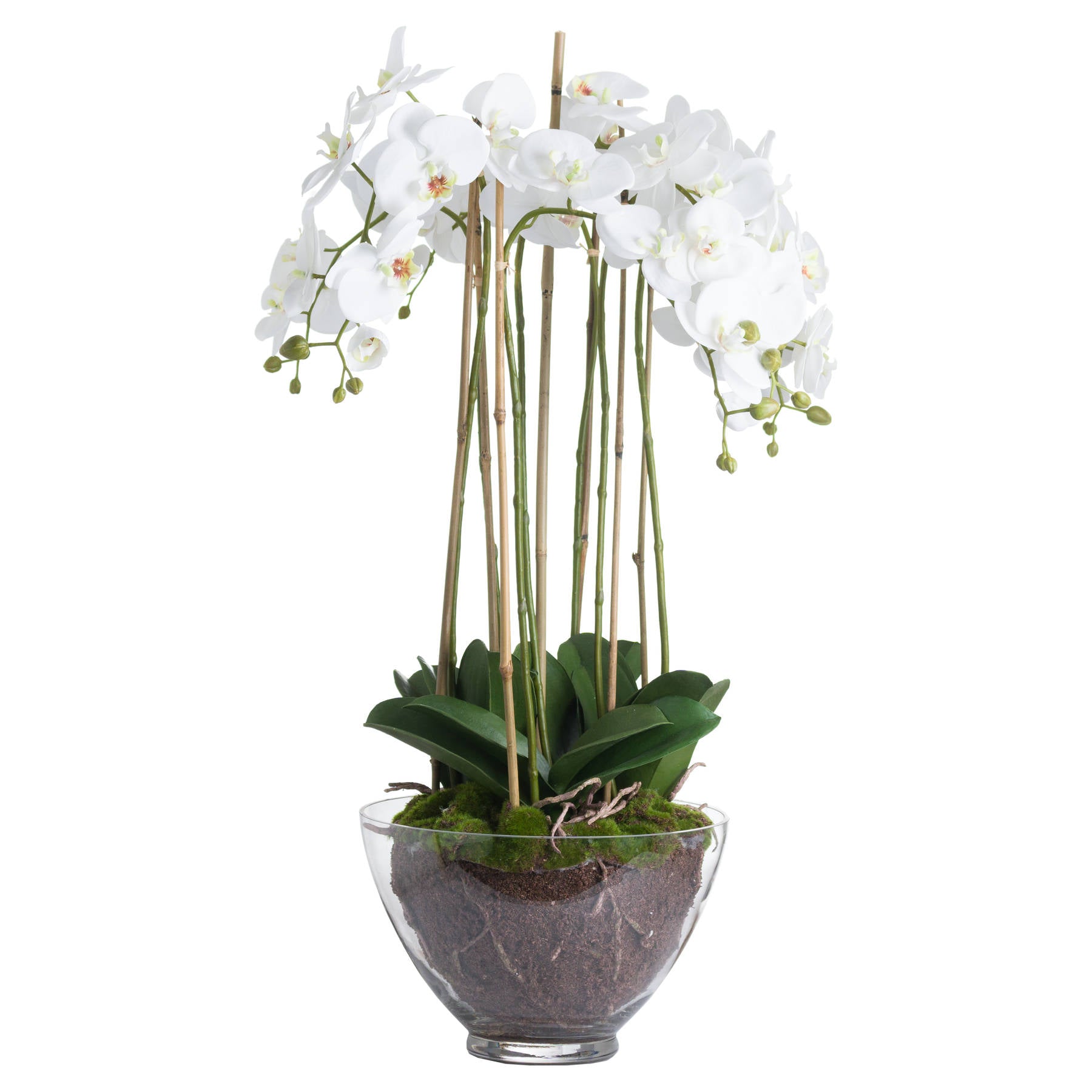 Large White Orchid In Glass Pot - All Artificial Flowers from the Quanta Home collection.