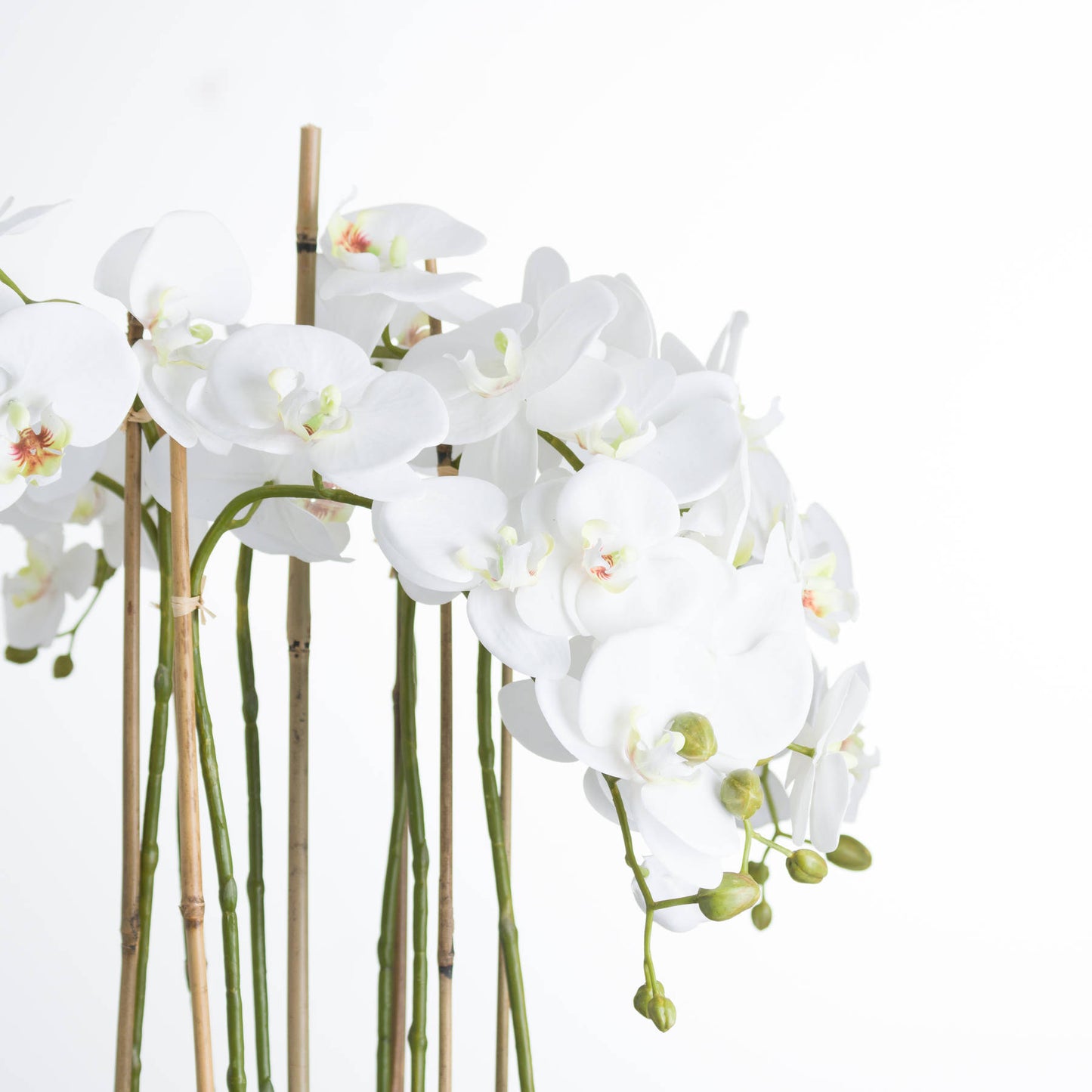 Large White Orchid In Glass Pot - All Artificial Flowers from the Quanta Home collection.