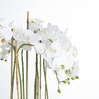 Large White Orchid In Glass Pot - All Artificial Flowers from the Quanta Home collection.