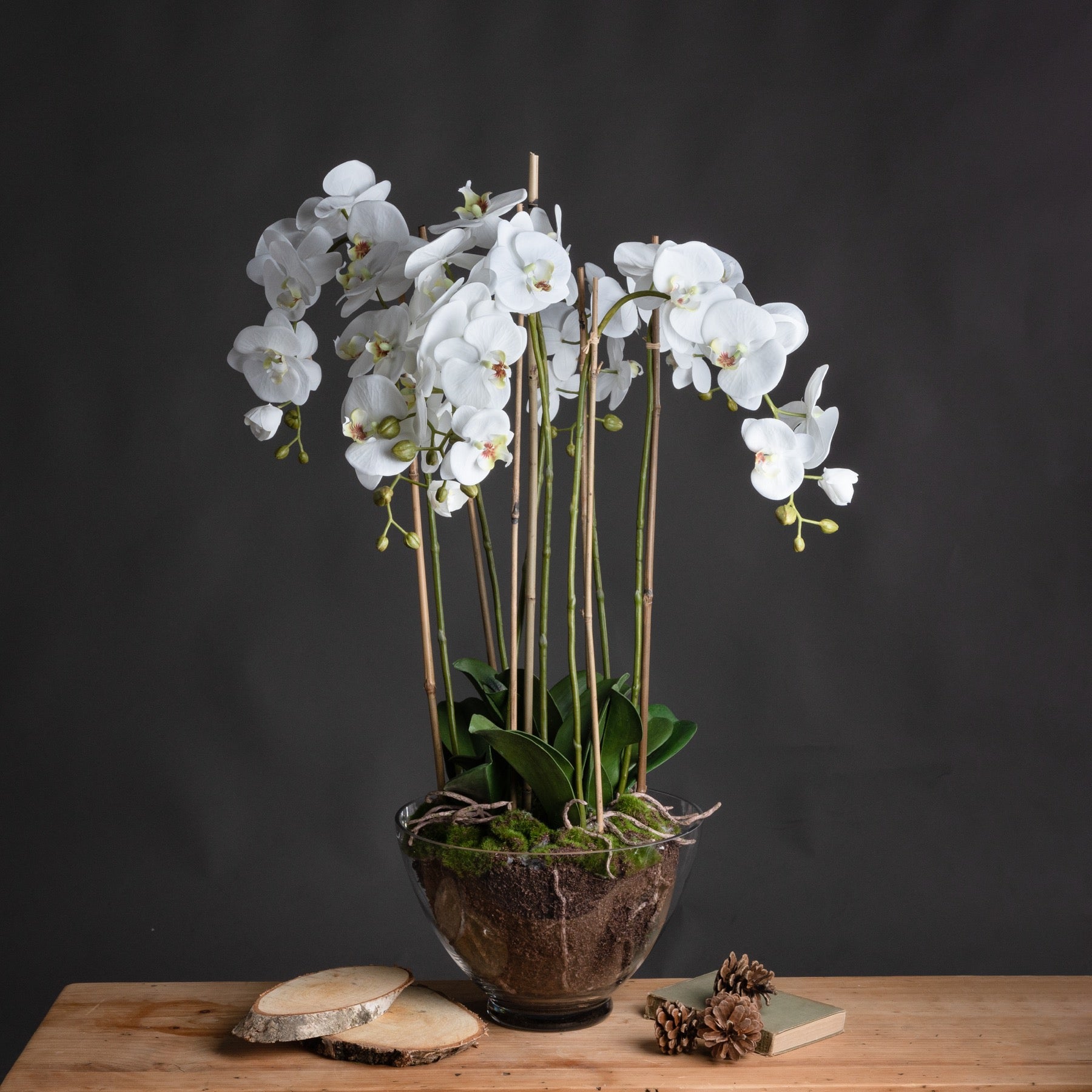 Large White Orchid In Glass Pot - All Artificial Flowers from the Quanta Home collection.