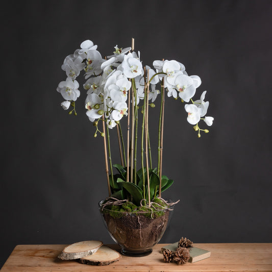 Large White Orchid In Glass Pot - All Artificial Flowers from the Quanta Home collection.