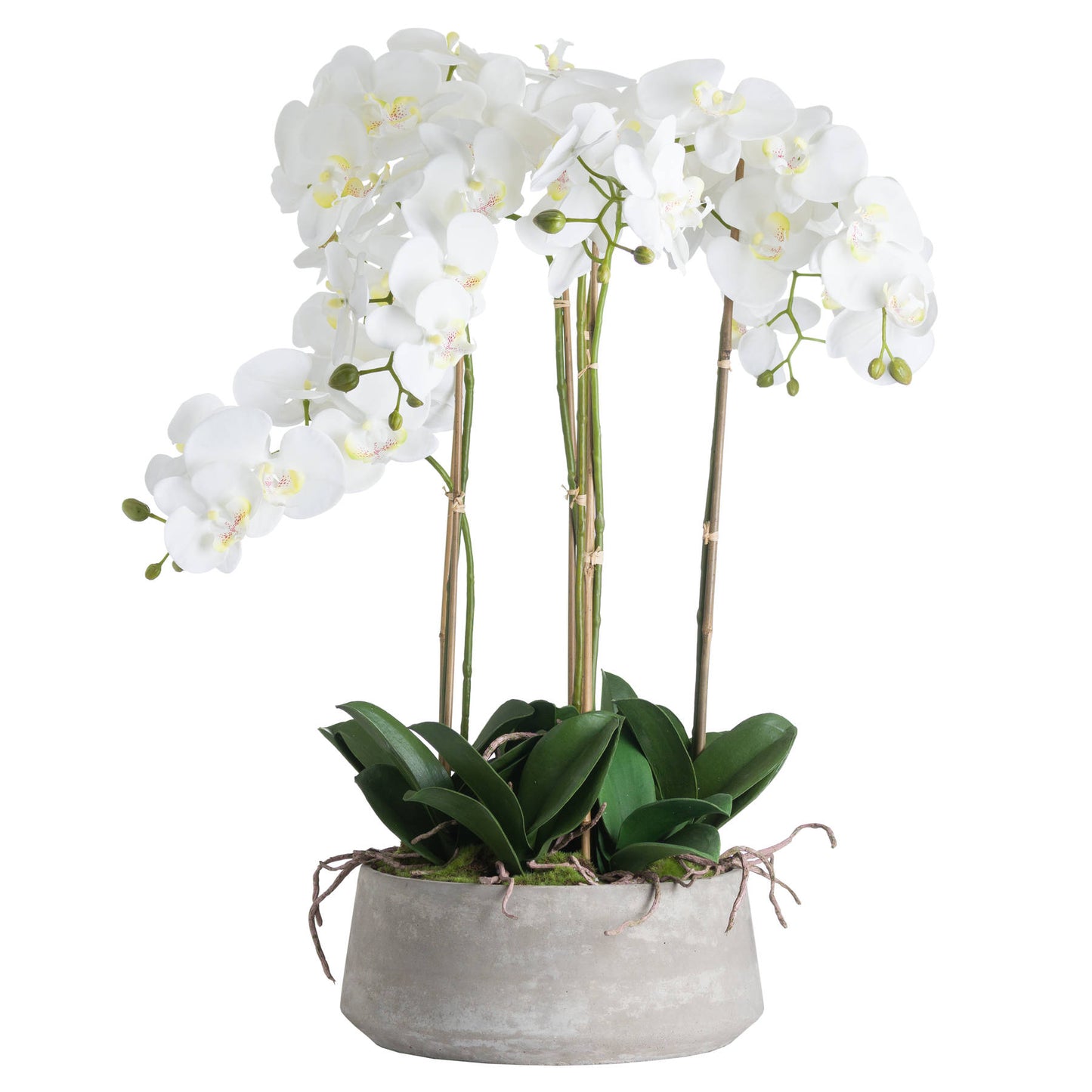 Large White Orchid In Stone Pot - All Artificial Flowers from the Quanta Home collection.