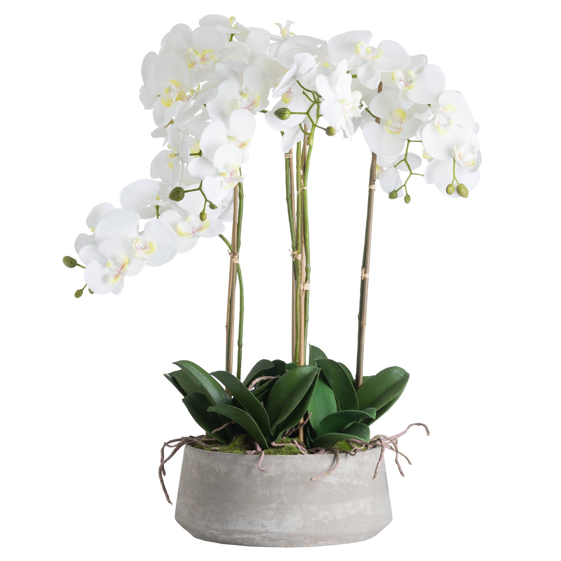 Large White Orchid In Stone Pot - All Artificial Flowers from the Quanta Home collection.