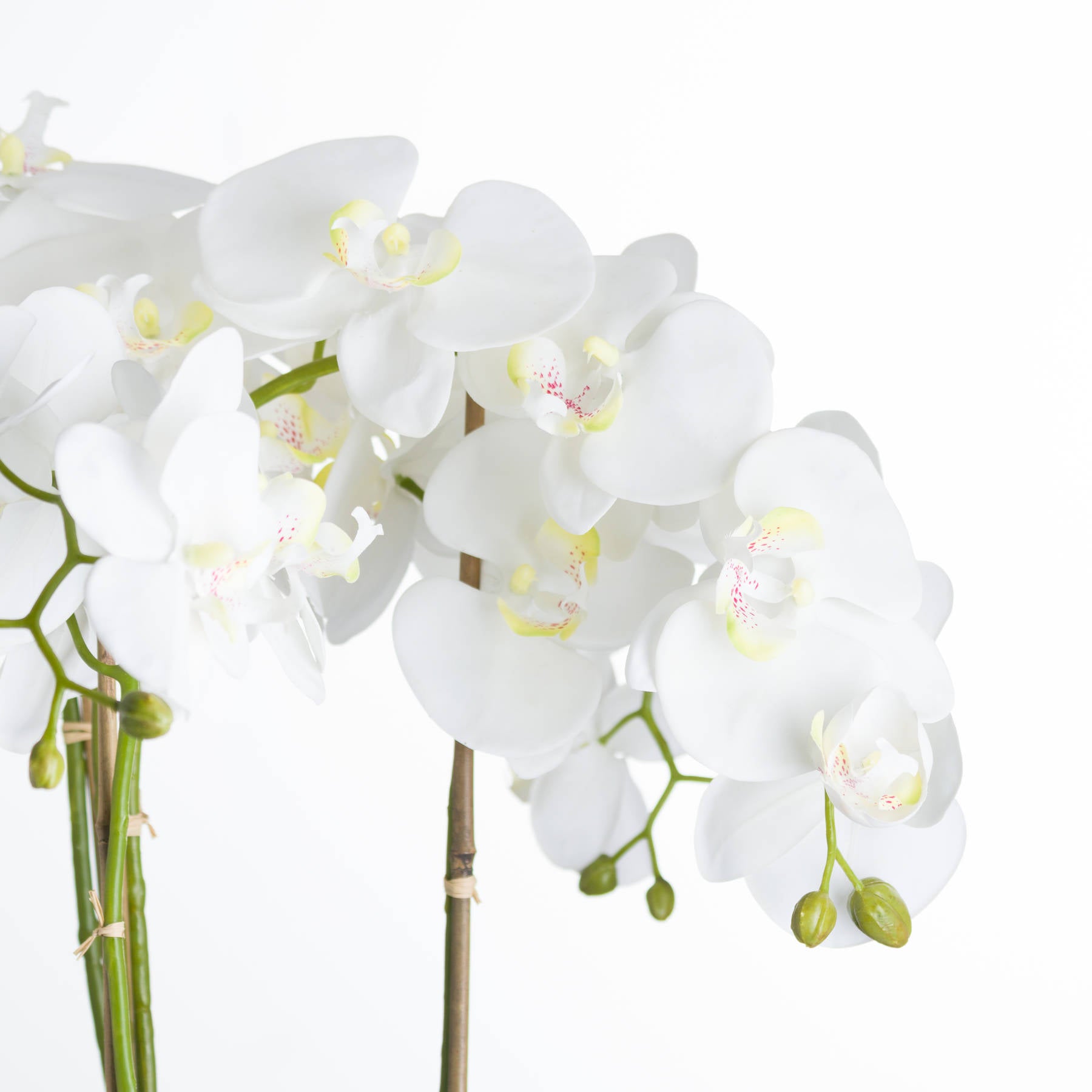 Large White Orchid In Stone Pot - All Artificial Flowers from the Quanta Home collection.