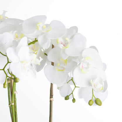 Large White Orchid In Stone Pot - All Artificial Flowers from the Quanta Home collection.