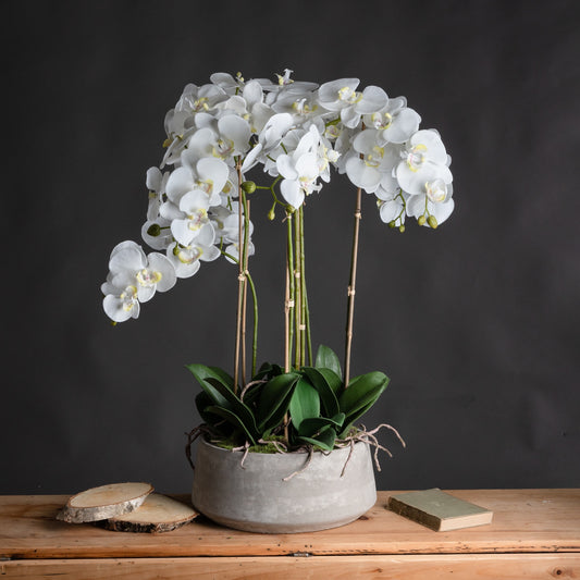 Large White Orchid In Stone Pot - All Artificial Flowers from the Quanta Home collection.