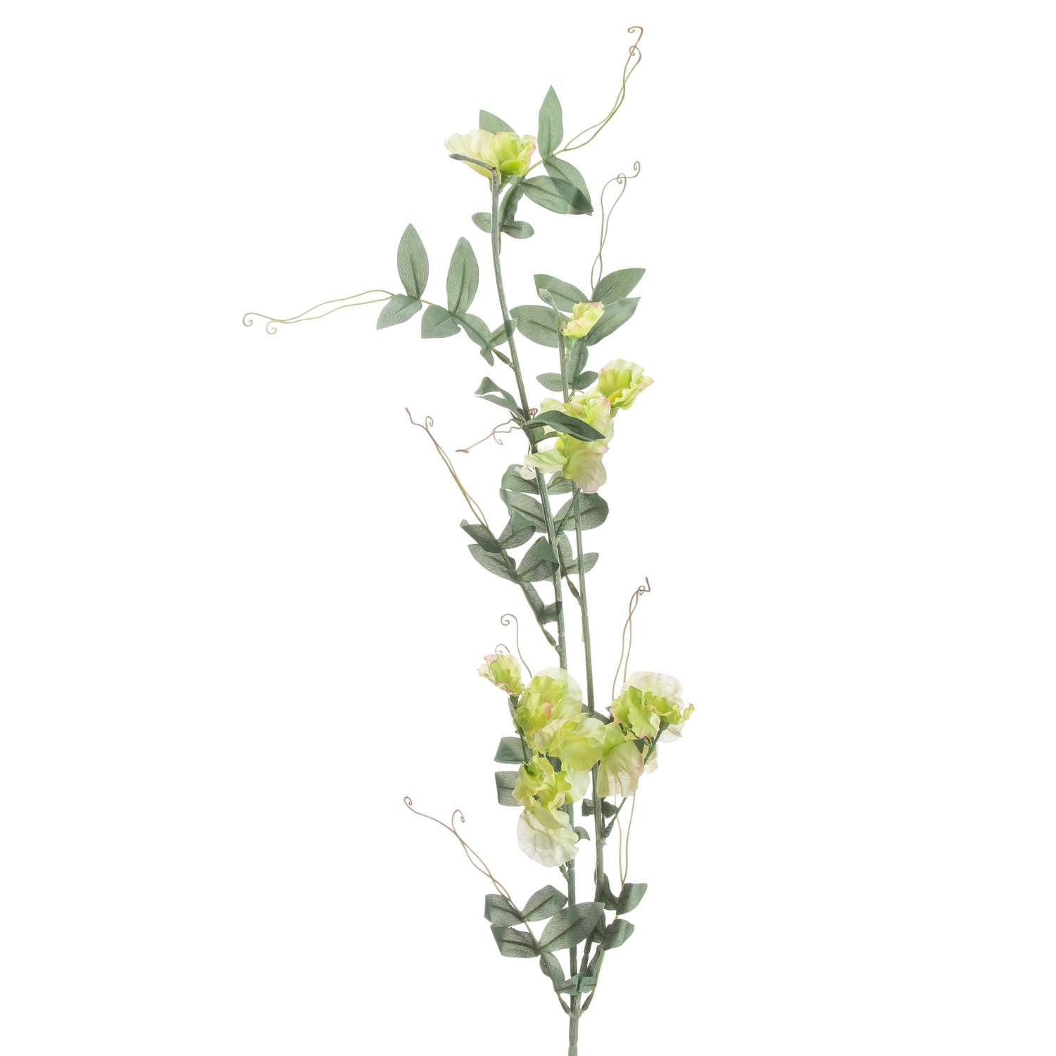 Lifelike Sweet Pea Trail with cascading green and soft cream petals, accented by delicate leaves and twisting vines. Perfect for floral arrangements.