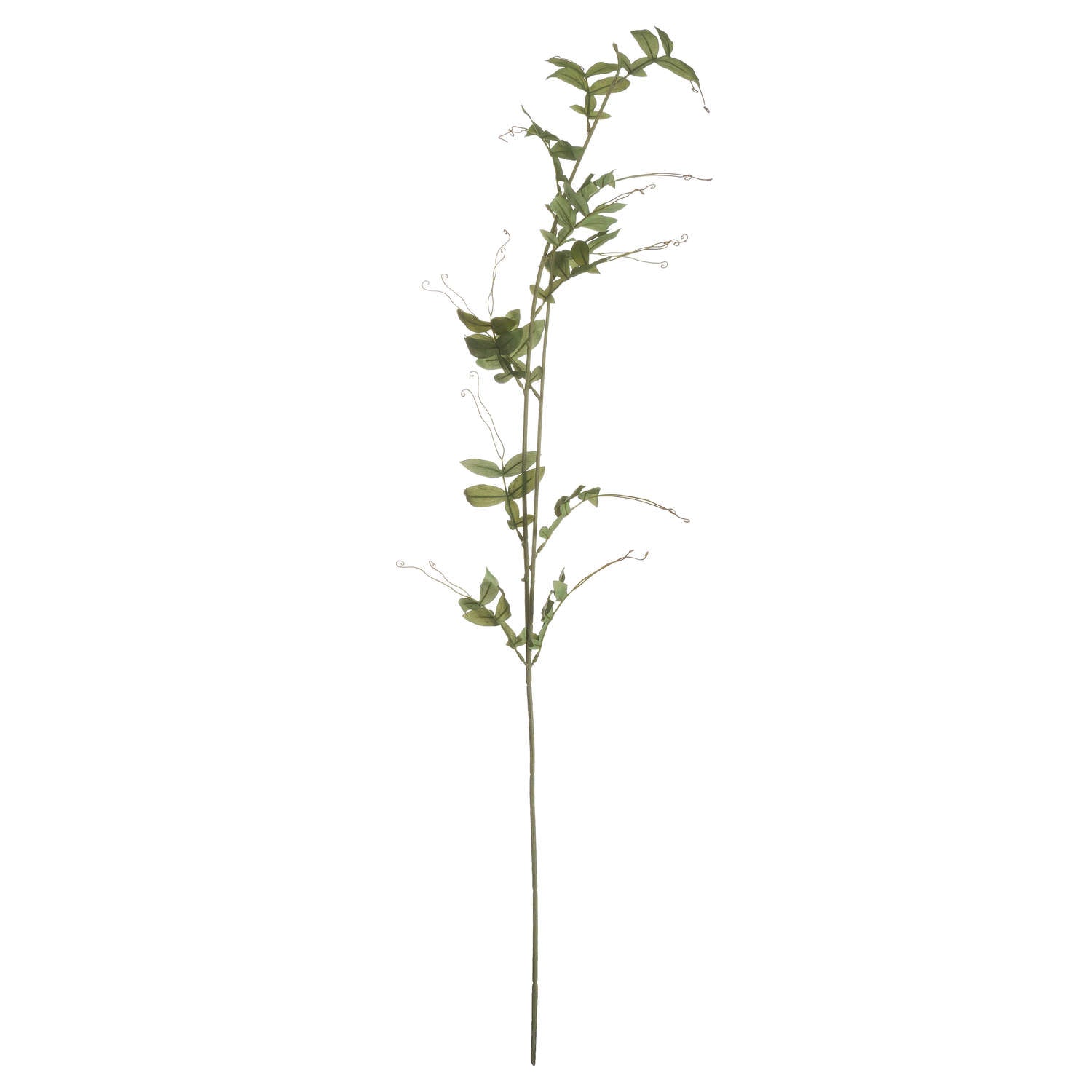 Lifelike Sweet Pea Trail features elegant green stems and delicate, twisting vines, perfect for upscale floral arrangements.