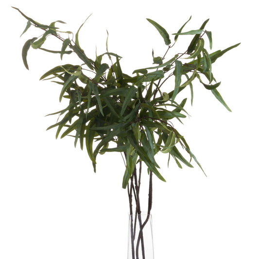 Long-stemmed green eucalyptus spray with delicate foliage, ideal for elegant home decor and versatile floral arrangements.
