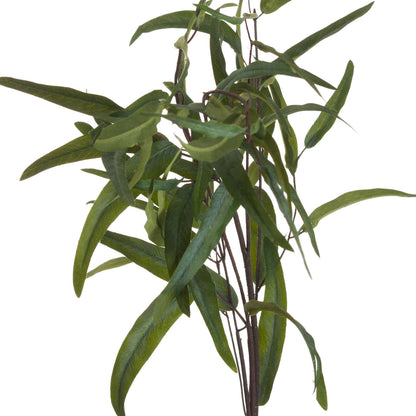 Eucalyptus Nicholii Spray - Single Stem Flowers from the Quanta Home collection.