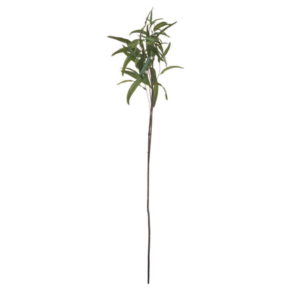 Eucalyptus Nicholii Spray - Single Stem Flowers from the Quanta Home collection.