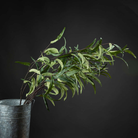 Eucalyptus Nicholii Spray - Single Stem Flowers from the Quanta Home collection.