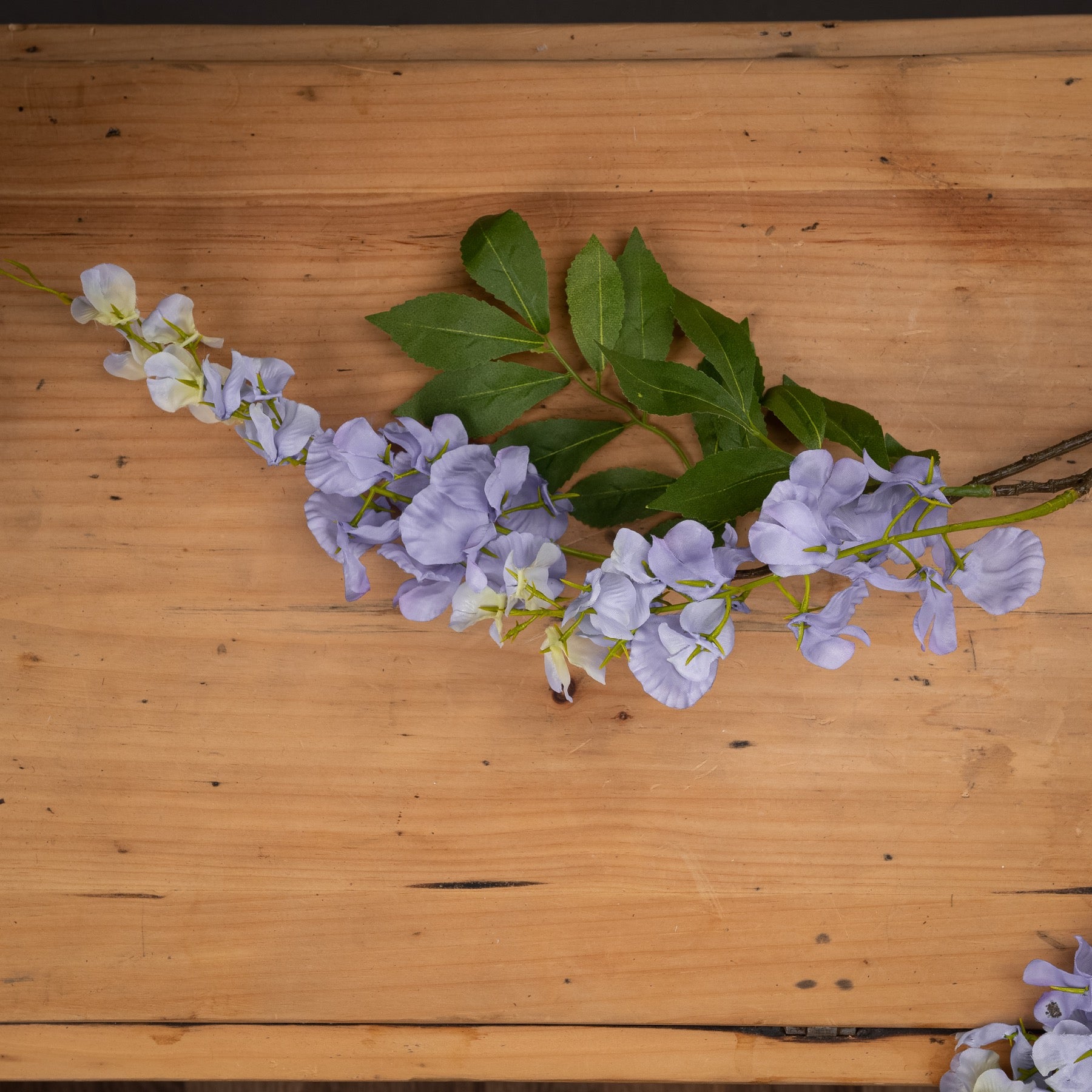 Delicate lilac blooms cascade gracefully, complemented by vibrant green leaves, on a rustic wooden surface.
