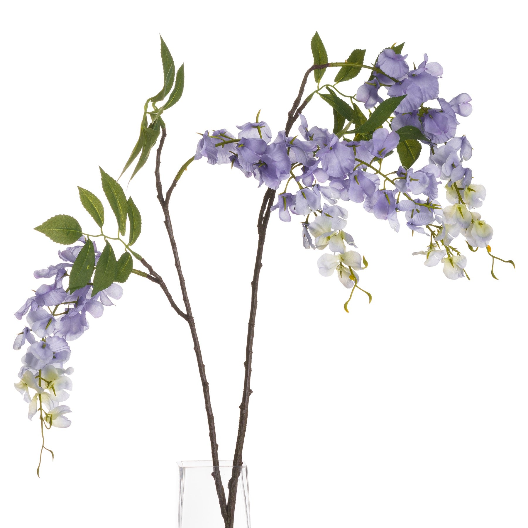 Delicate lilac blooms cascading from a natural stem, complemented by subtle green leaves, creating a romantic floral accent.