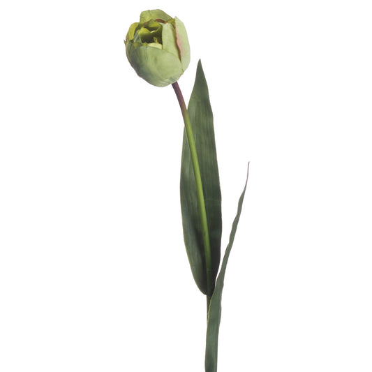 Realistic green tulip with detailed petals and a slender stem, complemented by two elegant green leaves, perfect for decor.