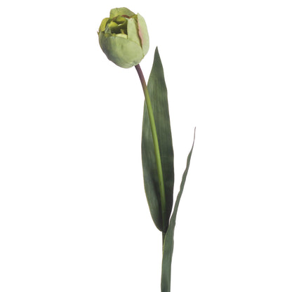 Green Tulip - Spring Stems from the Quanta Home collection.