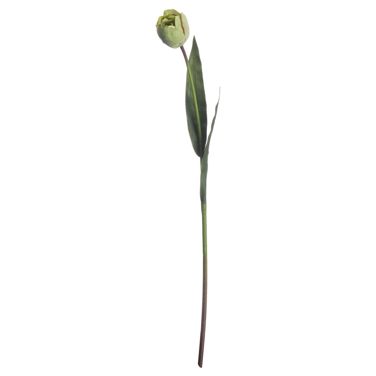 Single stem green tulip featuring realistic petals and leaves, ideal for enhancing decor with timeless botanical elegance.