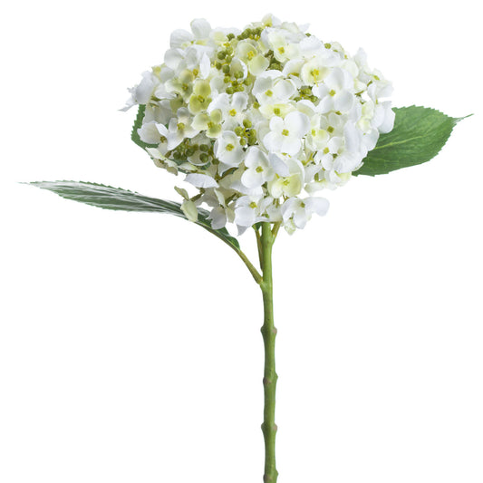 Lifelike white lace cap hydrangea with textured blooms and green accents, perfect for elegant home decor arrangements.