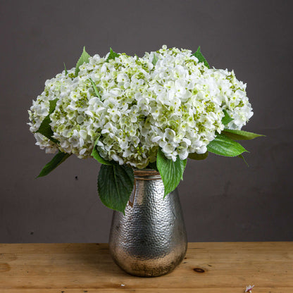 White Lace Cap Hydrangea - Single Stem Flowers from the Quanta Home collection.