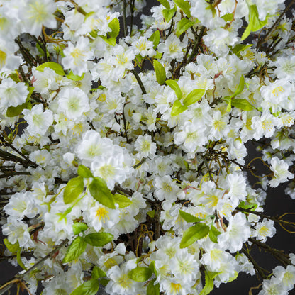 White Cherry Blossom Spray - Spring Stems from the Quanta Home collection.