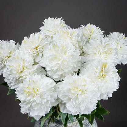 Classic White Peony - Spring Stems from the Quanta Home collection.