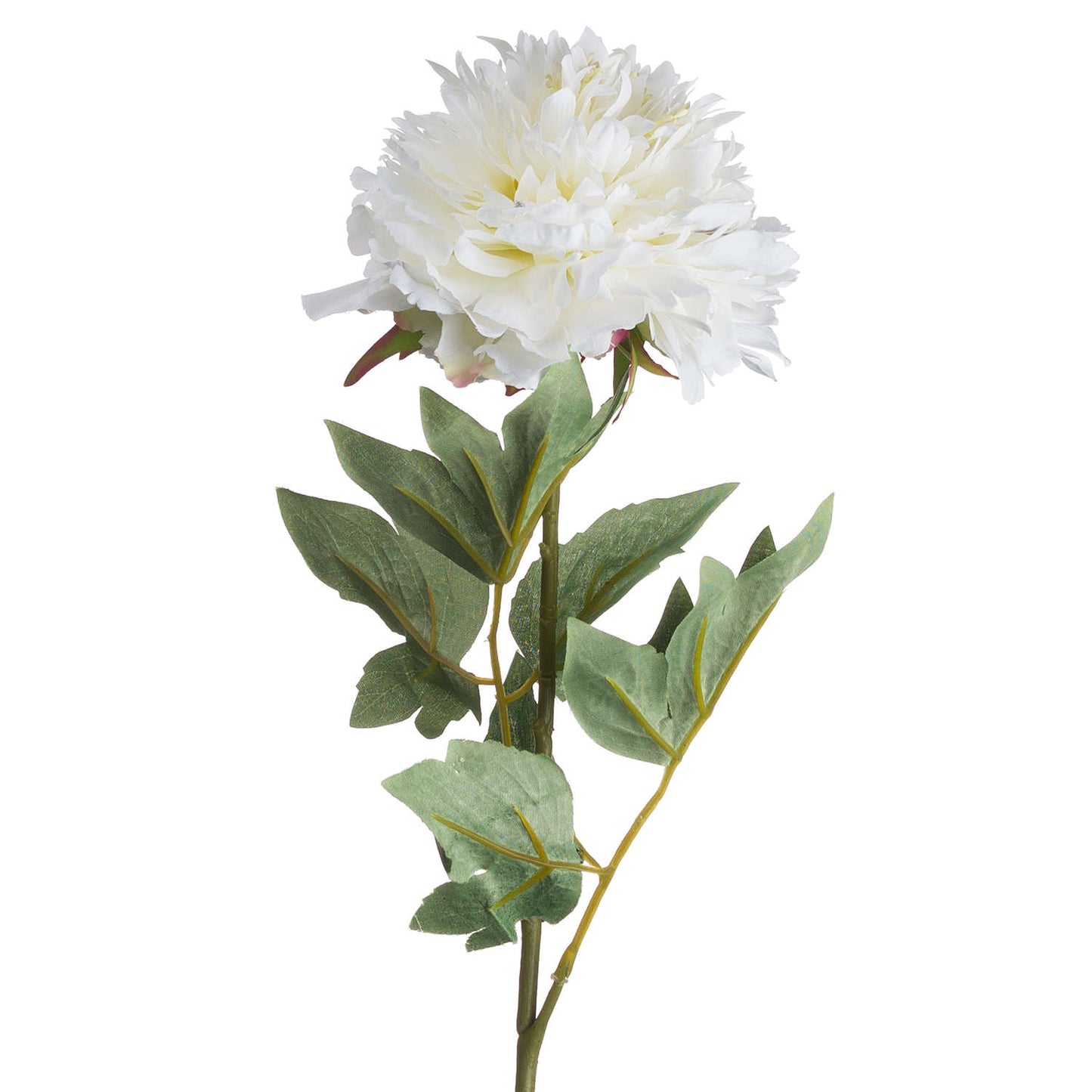 Artificial white peony with layered petals, accented by lush green leaves, perfect for elegant home decor.