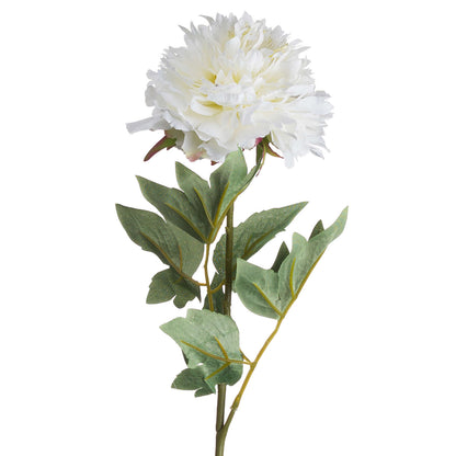 Classic White Peony - Spring Stems from the Quanta Home collection.