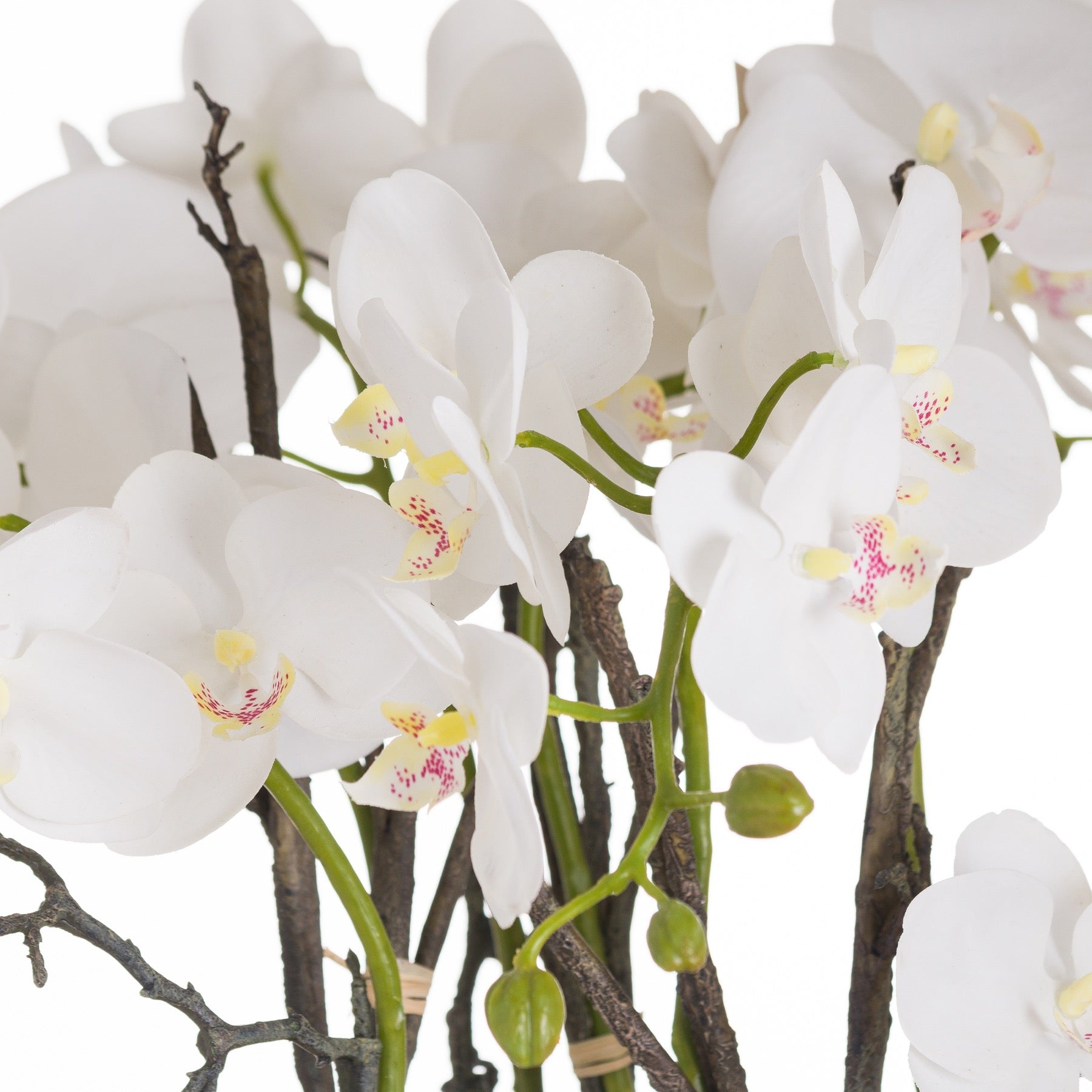 Large Stone Potted Orchid With Roots - All Artificial Flowers from the Quanta Home collection.