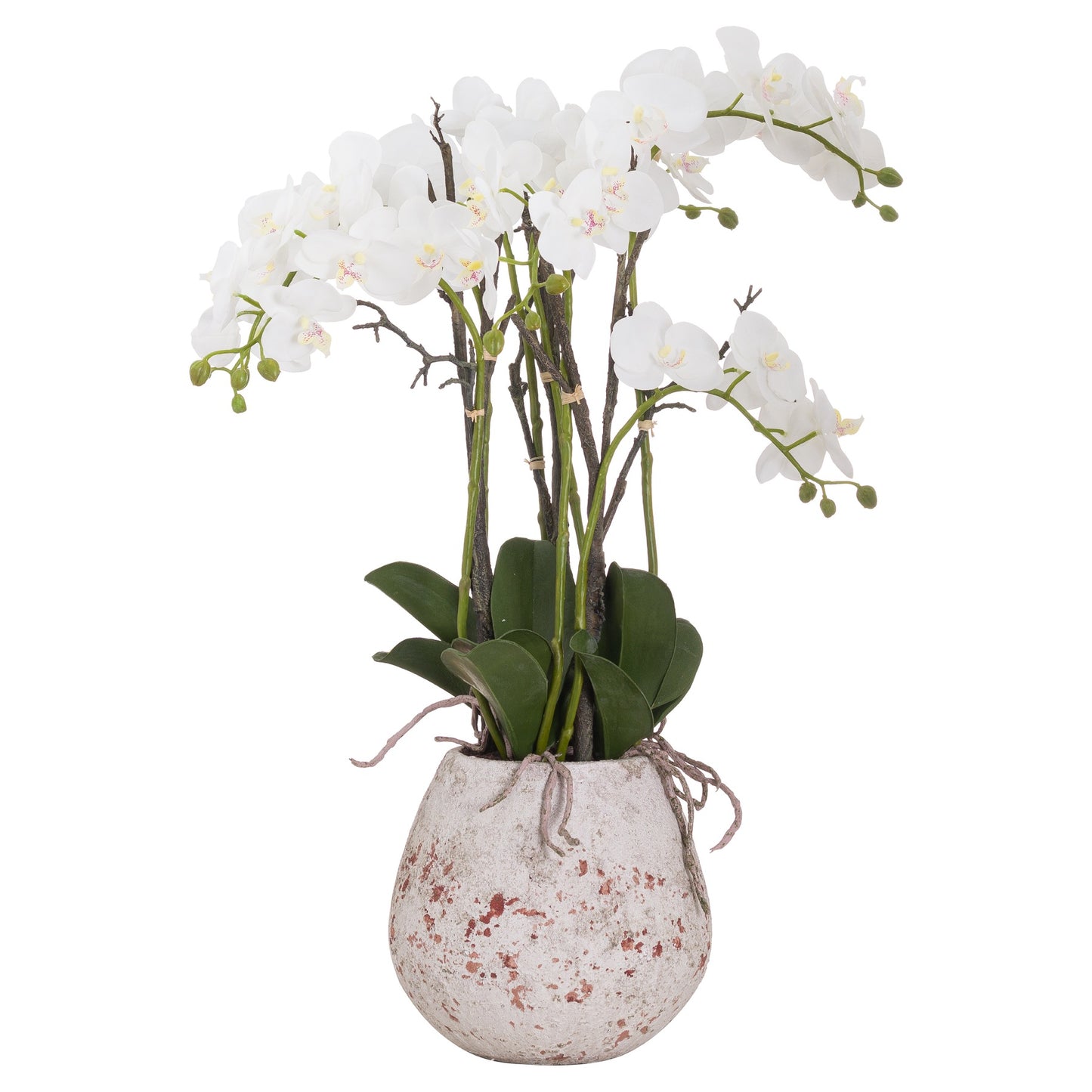 Large Stone Potted Orchid With Roots - All Artificial Flowers from the Quanta Home collection.