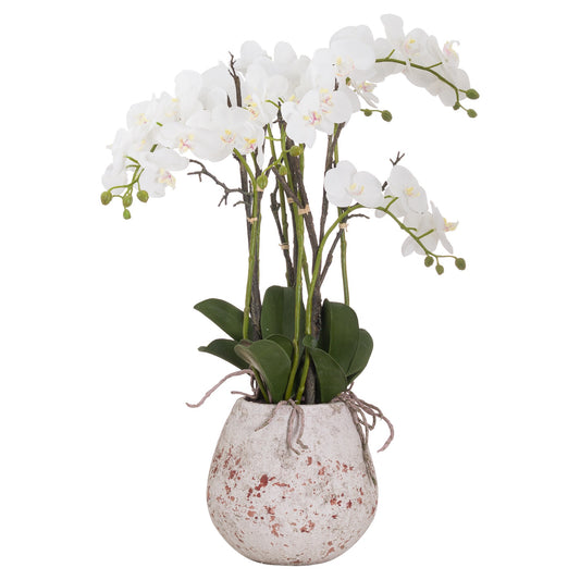 Large Stone Potted Orchid With Roots - All Artificial Flowers from the Quanta Home collection.