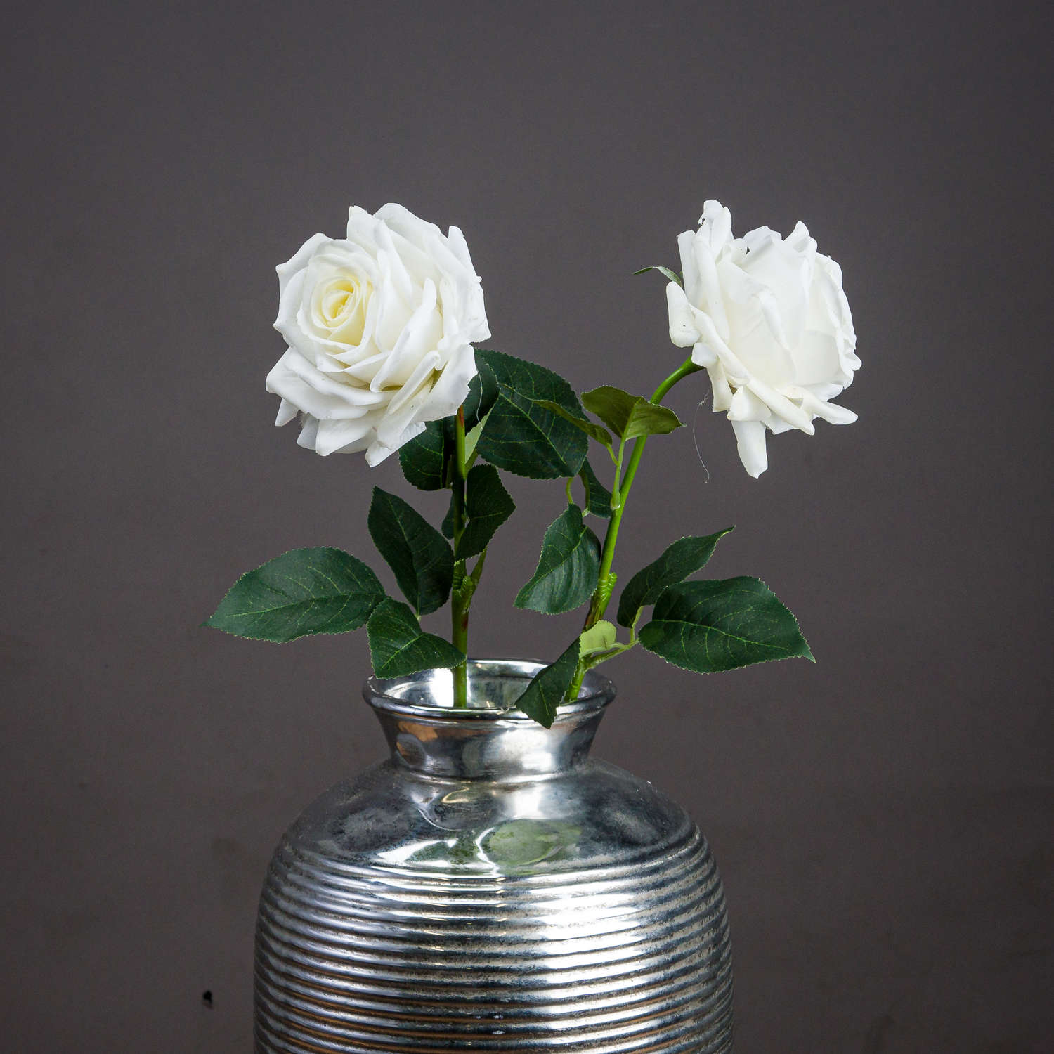 Large White Garden Rose - Single Stem Flowers from the Quanta Home collection.