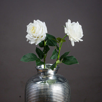 Large White Garden Rose - Single Stem Flowers from the Quanta Home collection.