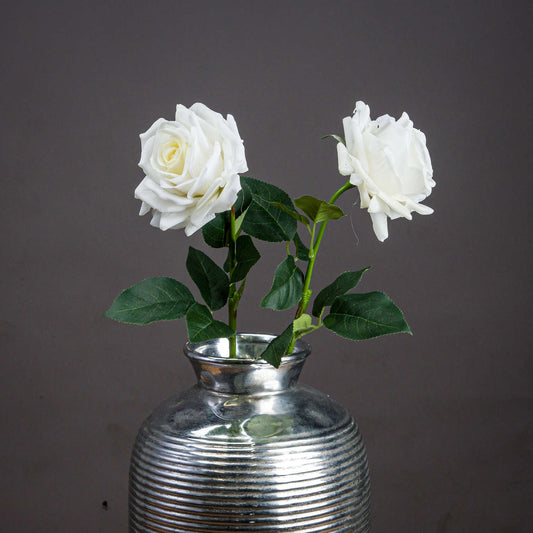 Large White Garden Rose - Single Stem Flowers from the Quanta Home collection.