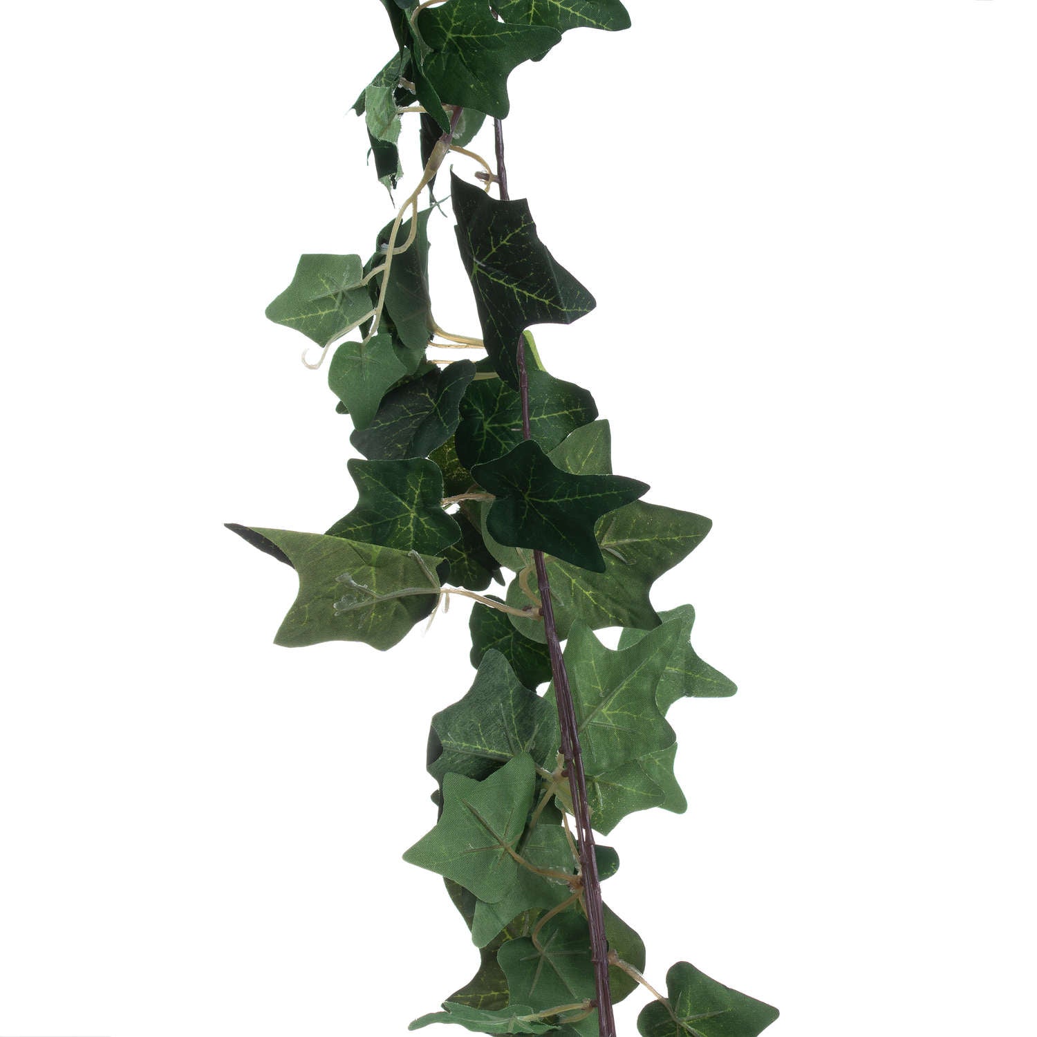 Ivy Garland - Christmas Wreaths & Garlands from the Quanta Home collection.