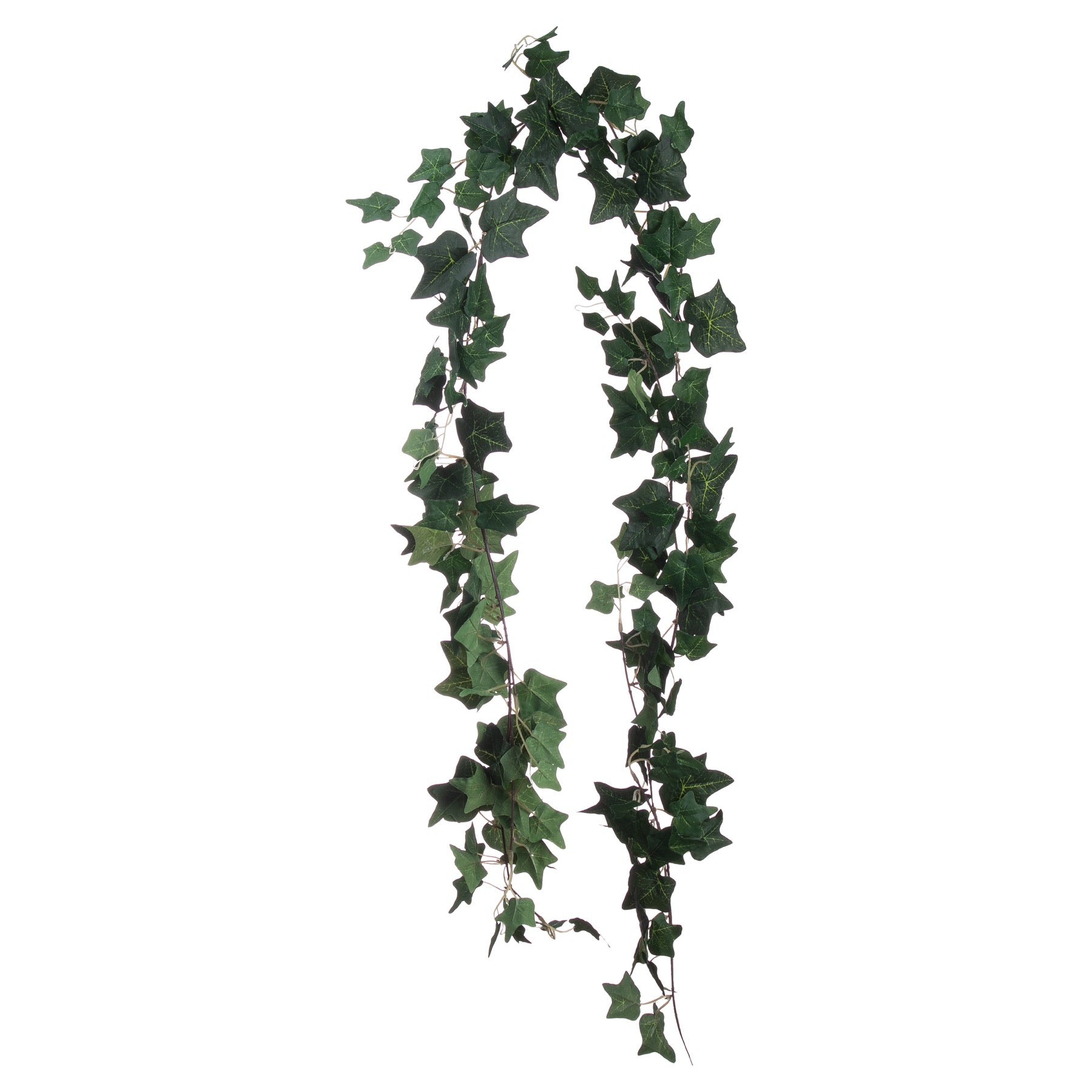 Ivy Garland - Christmas Wreaths & Garlands from the Quanta Home collection.