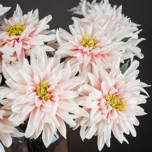 Lush pink dahlia blooms with lifelike petals and vibrant hues, featuring green accents for an elegant floral display.