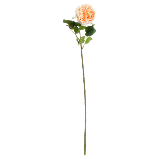 Butter Portland Rose features intricate detailing with delicate gradients in a soft butter-yellow hue, enhancing any decor.