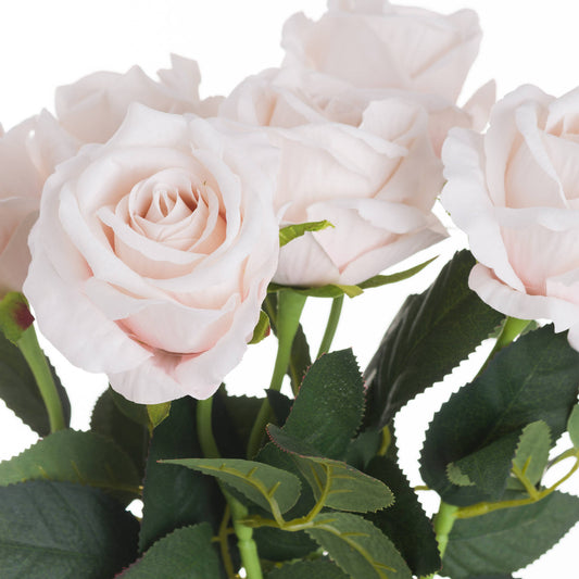 Pastel pink tea roses with layered petals and green foliage, offering a romantic touch for any decor style.