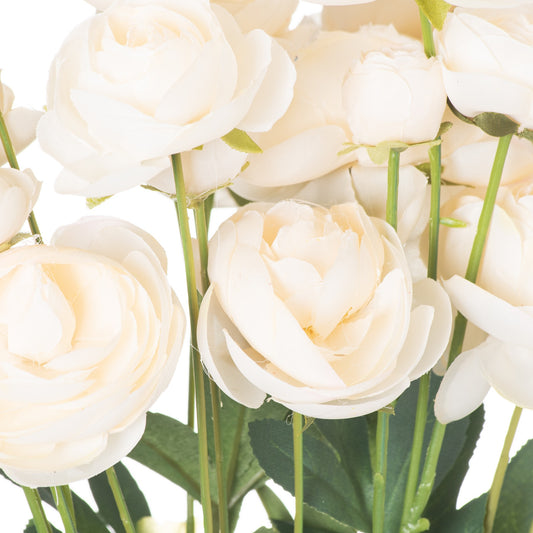 Cream ranunculus flowers with lush white petals and vibrant green leaves, perfect for elegant home decor or floral arrangements.