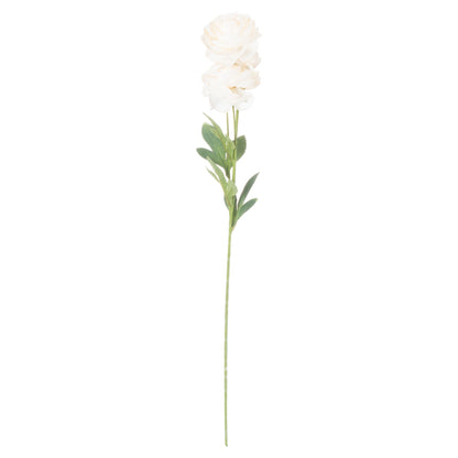 Cream Ranunculus - Spring Stems from the Quanta Home collection.